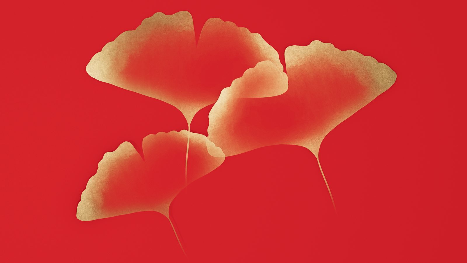 Ginkgo
